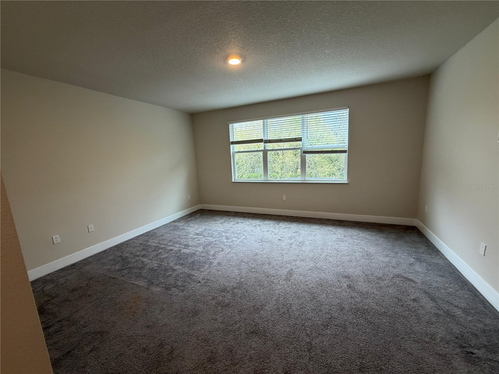 17529 Hidden Forest Dr Clermont FL 34714 S5143657 image13