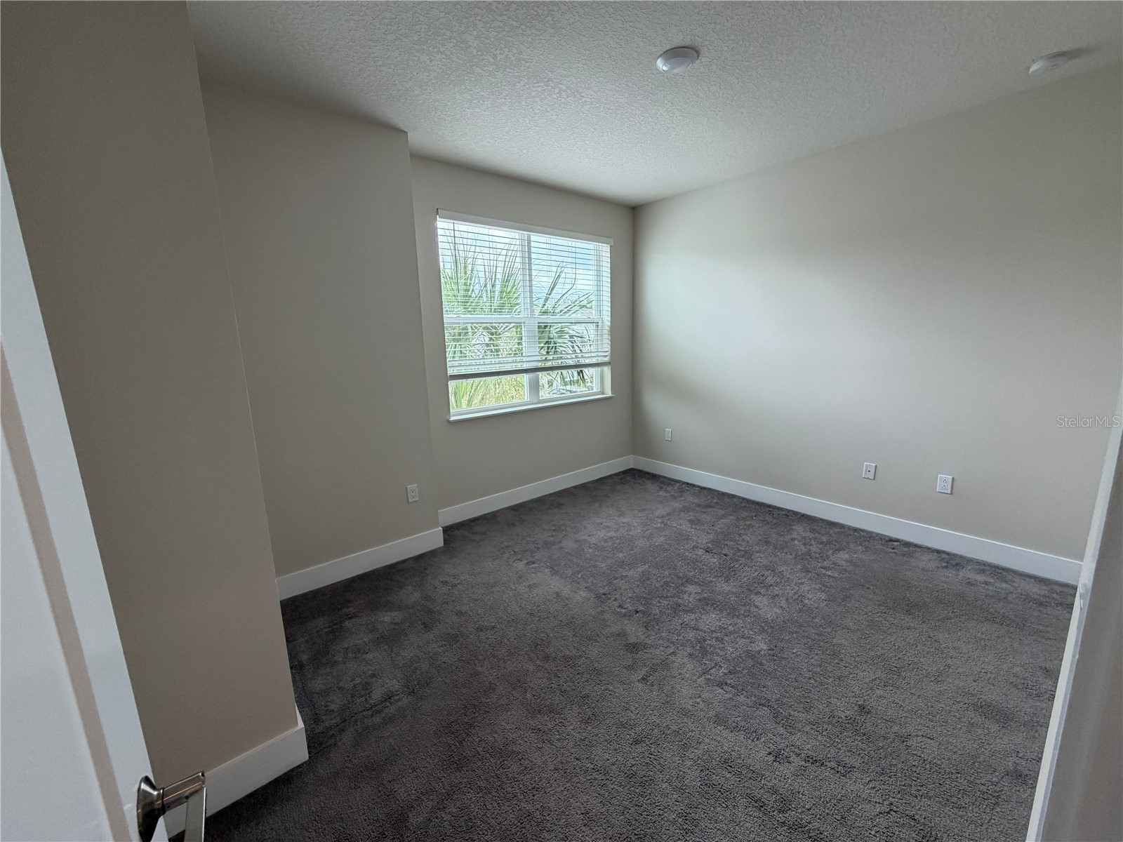 17529 Hidden Forest Dr Clermont FL 34714 S5143657 image14