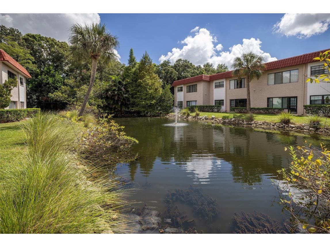 1753 Belleair Forest Drive #D3 Belleair FL 33756 TB8447860 image18