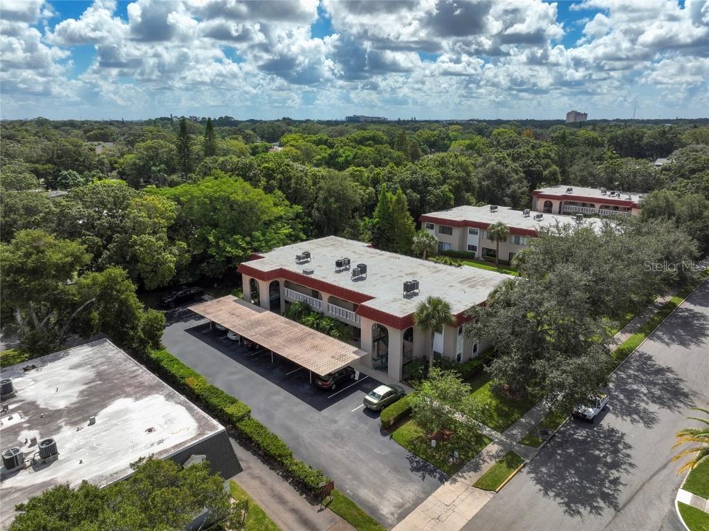 1753 Belleair Forest Drive #D3 Belleair FL 33756 TB8447860 image29