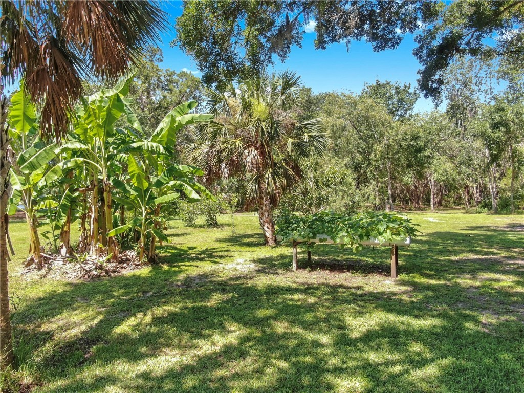 1753 Ranchette Road Wesley Chapel FL 33543 TB8397250 image12