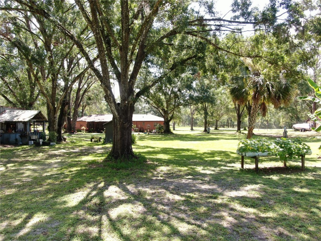 1753 Ranchette Road Wesley Chapel FL 33543 TB8397250 image14