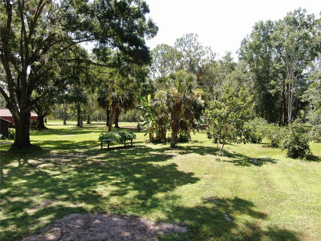 1753 Ranchette Road Wesley Chapel FL 33543 TB8397250 image15