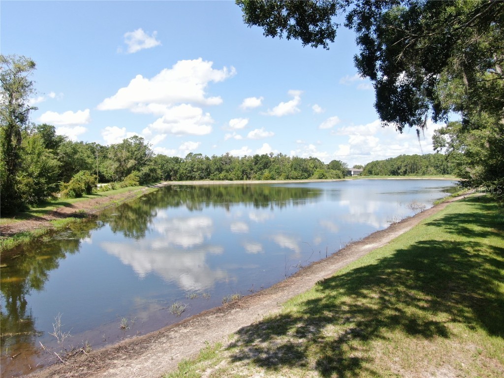 1753 Ranchette Road Wesley Chapel FL 33543 TB8397250 image16