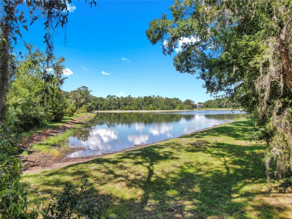 1753 Ranchette Road Wesley Chapel FL 33543 TB8397250 image4