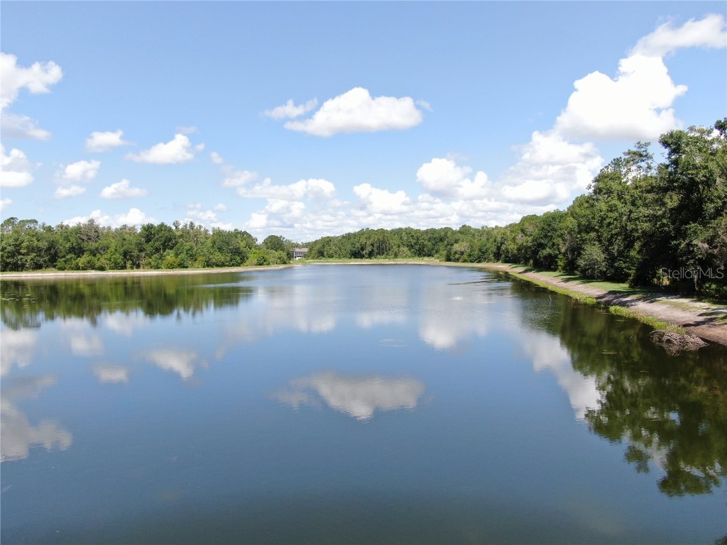 1753 Ranchette Road Wesley Chapel FL 33543 TB8397250 image59