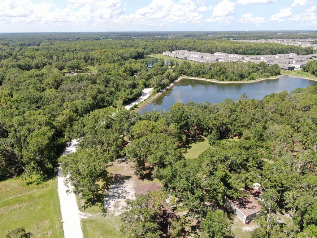 1753 Ranchette Road Wesley Chapel FL 33543 TB8397250 image7