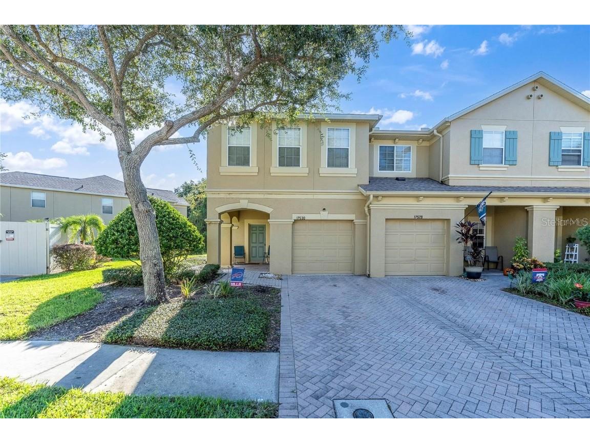 17530 Stinchar Drive Land O Lakes FL 34638 TB8326870 image1