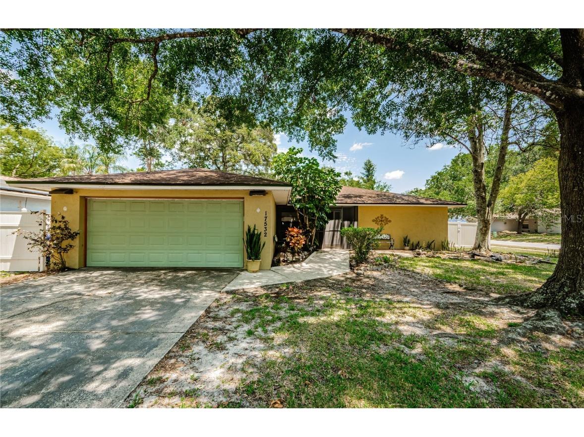 17532 Brandywine Drive Lutz FL 33549 T3529811 image1