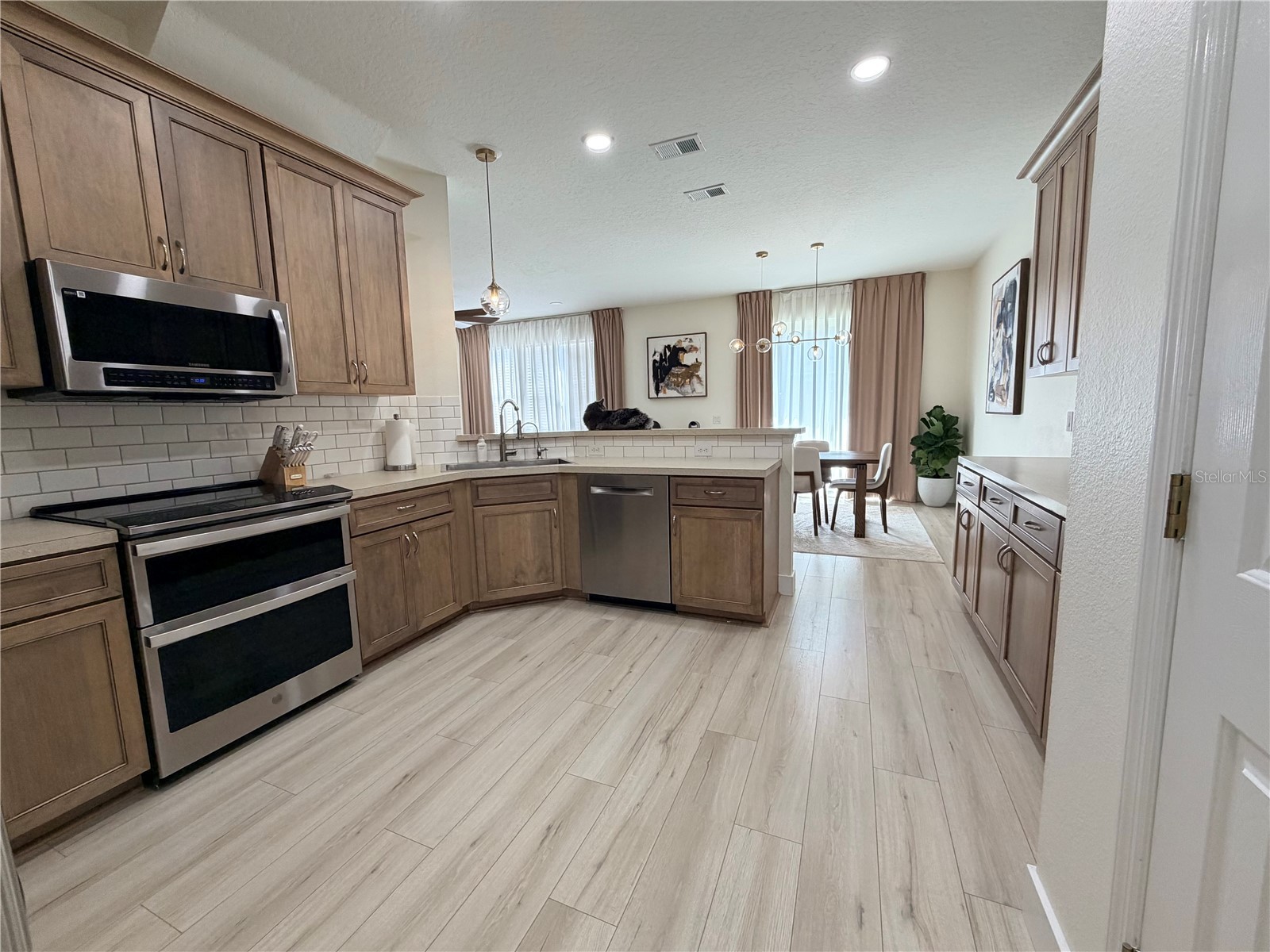 17532 Queensland Street Land O Lakes FL 34638 TB8491231 image7