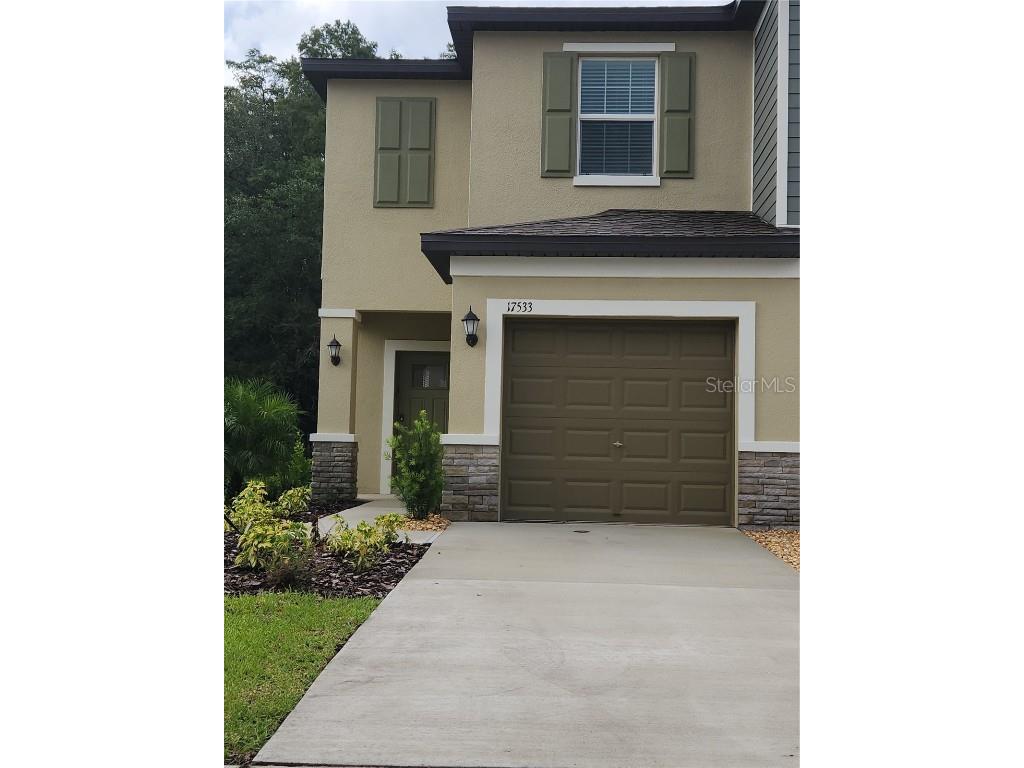 17533 Nectar Flume Drive Land O Lakes FL 34638 T3467481 image1