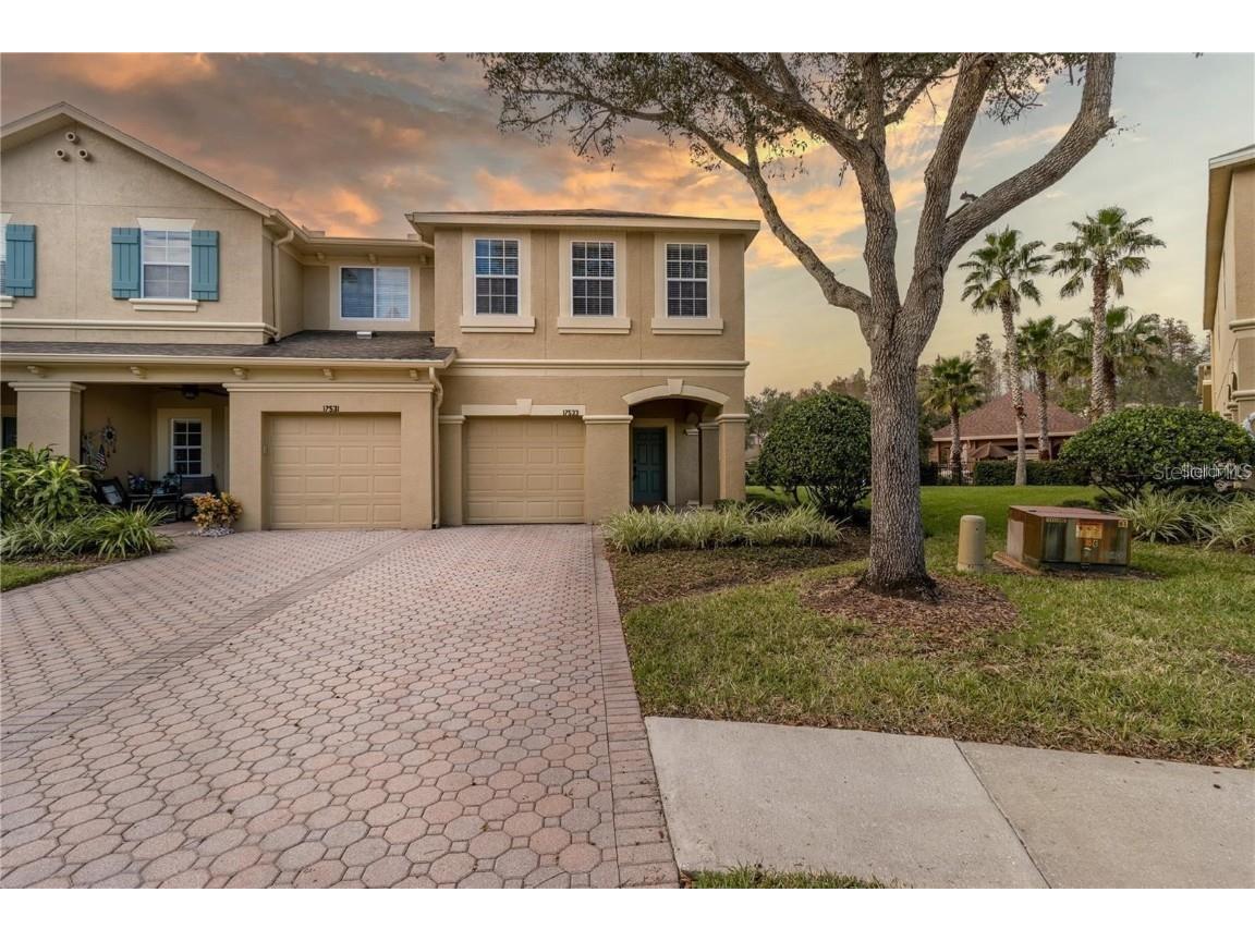 17533 Stinchar Drive Land O Lakes FL 34638 TB8434310 image1