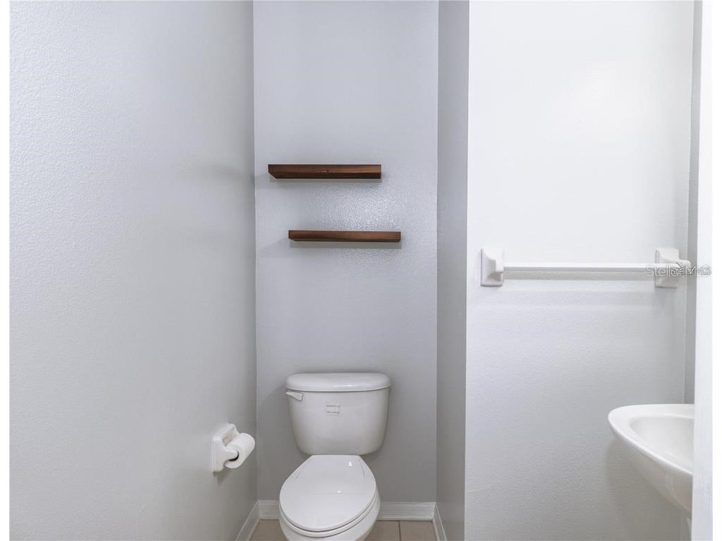 17533 Stinchar Drive Land O Lakes FL 34638 TB8434310 image20