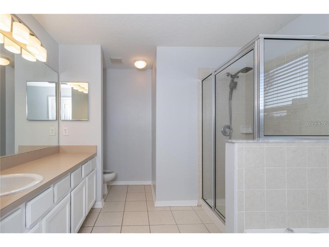 17533 Stinchar Drive Land O Lakes FL 34638 TB8434310 image21