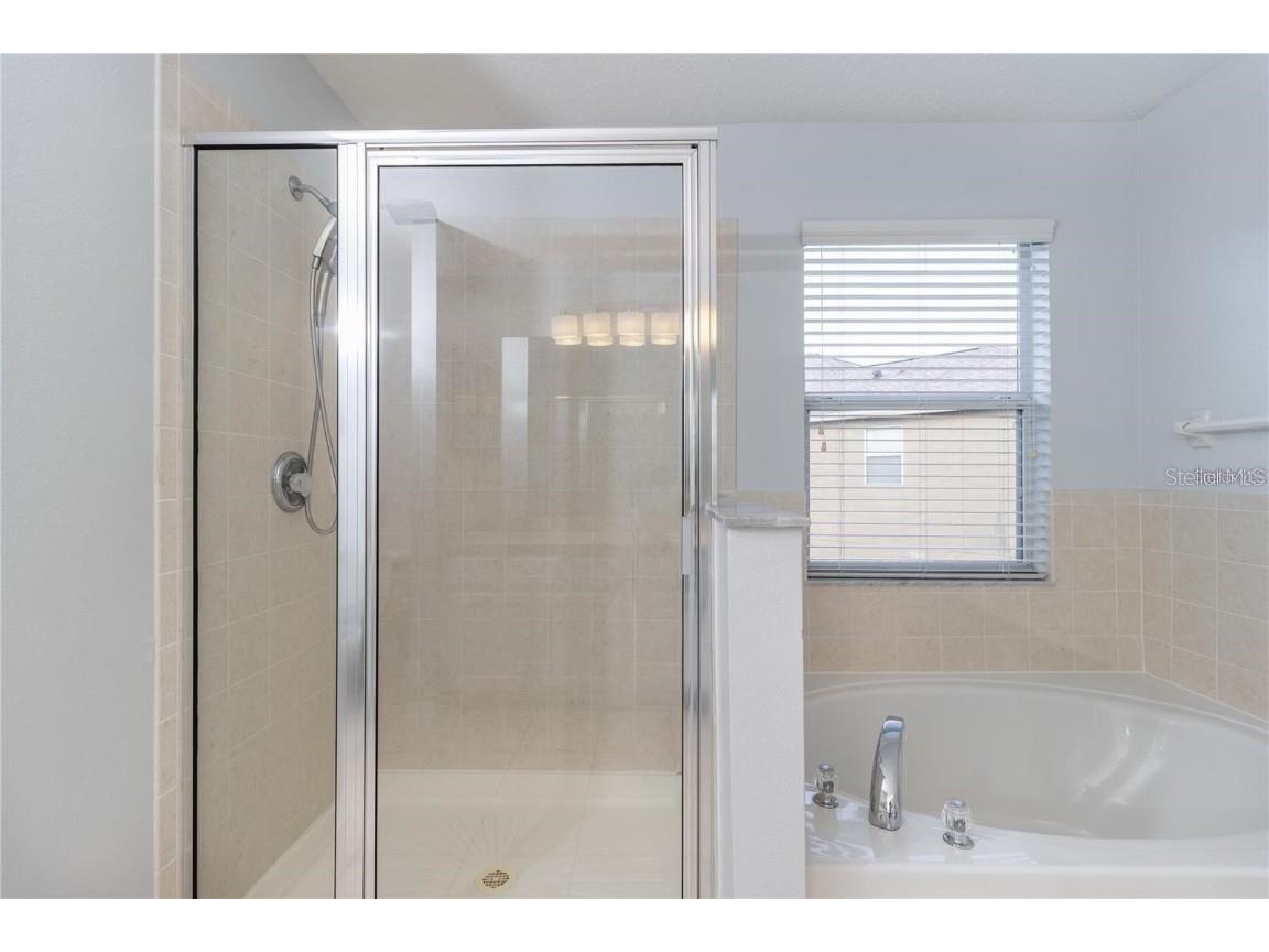 17533 Stinchar Drive Land O Lakes FL 34638 TB8434310 image22