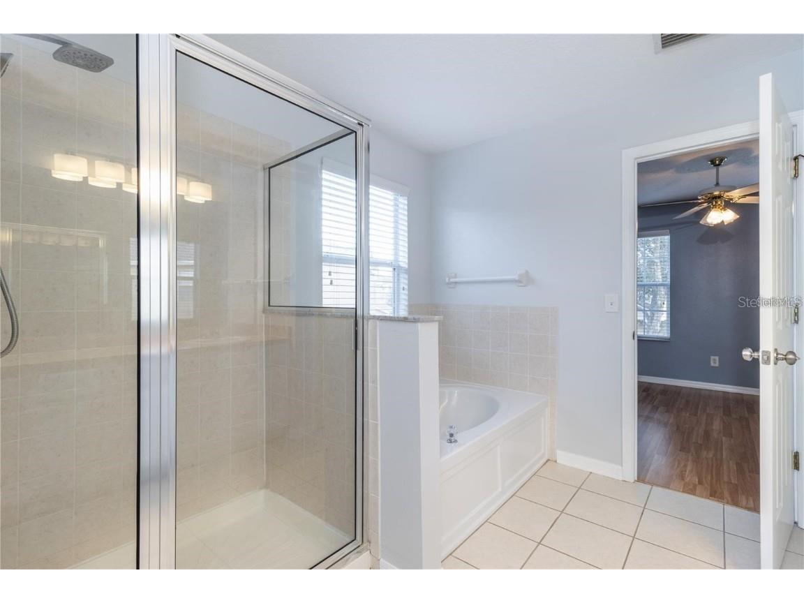 17533 Stinchar Drive Land O Lakes FL 34638 TB8434310 image23