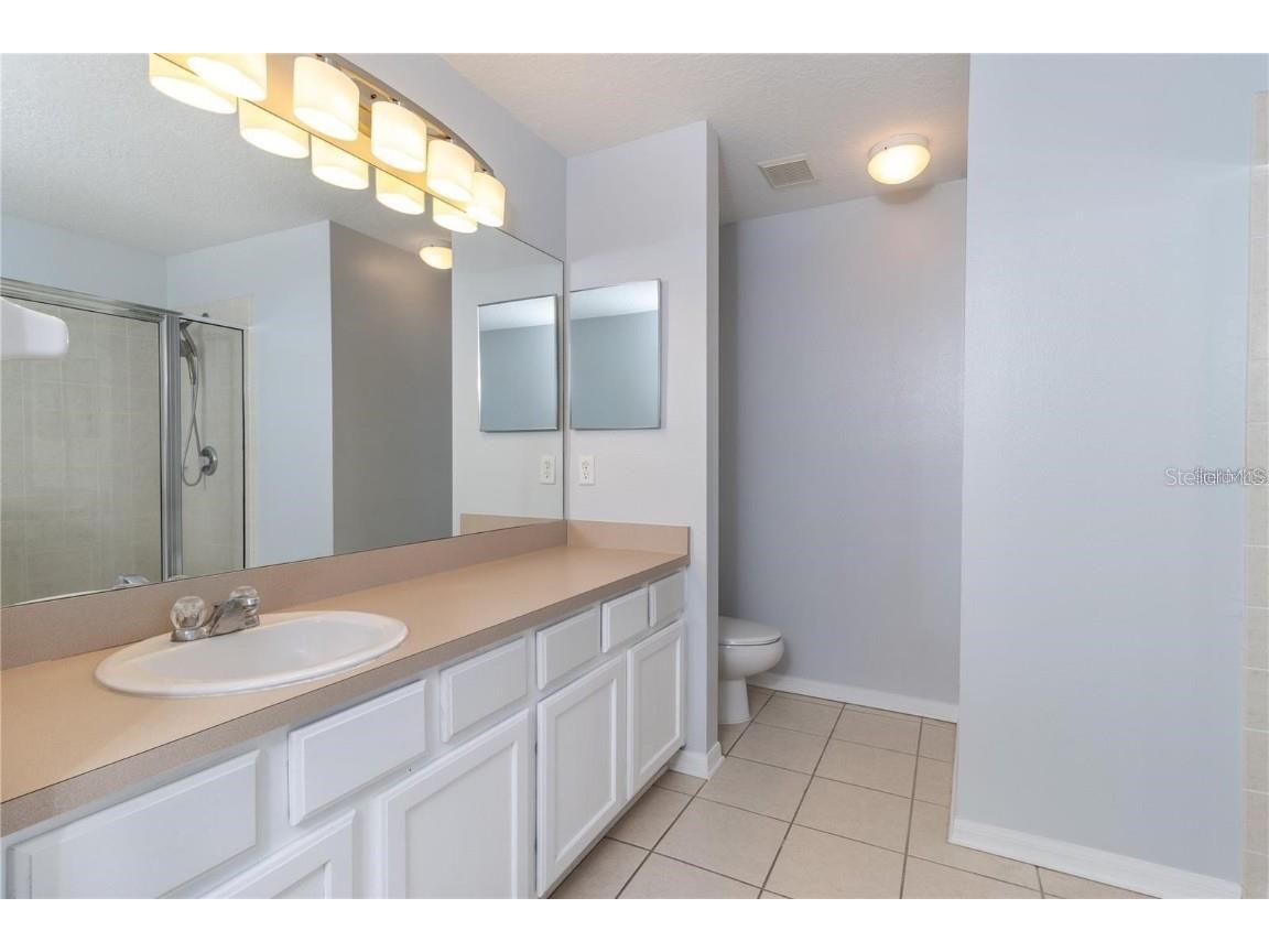 17533 Stinchar Drive Land O Lakes FL 34638 TB8434310 image24