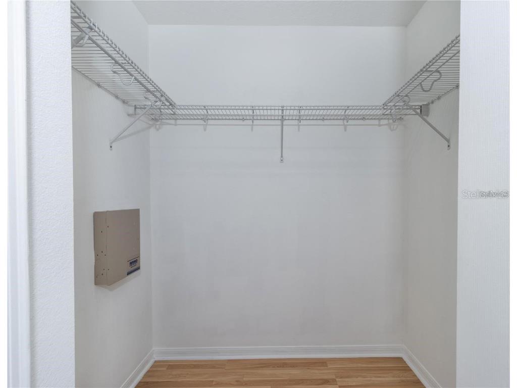 17533 Stinchar Drive Land O Lakes FL 34638 TB8434310 image39