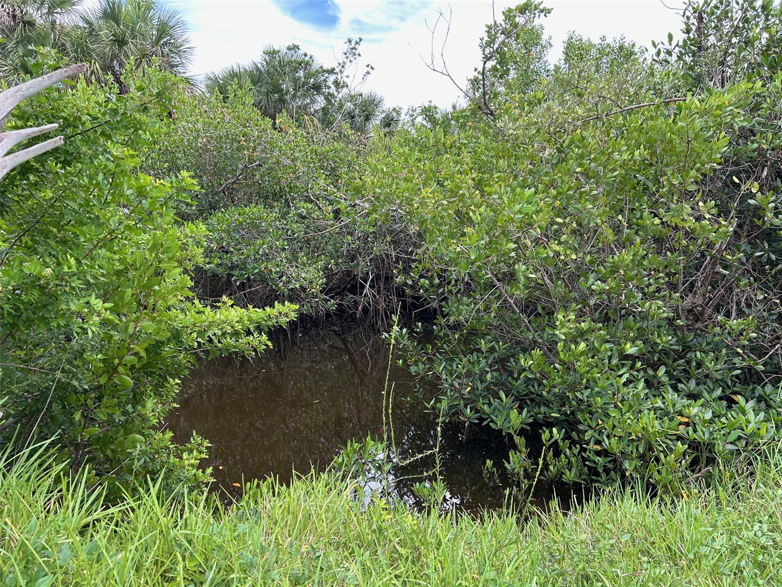 17534 Cuillagan Court Punta Gorda FL 33955 C7520008 image16