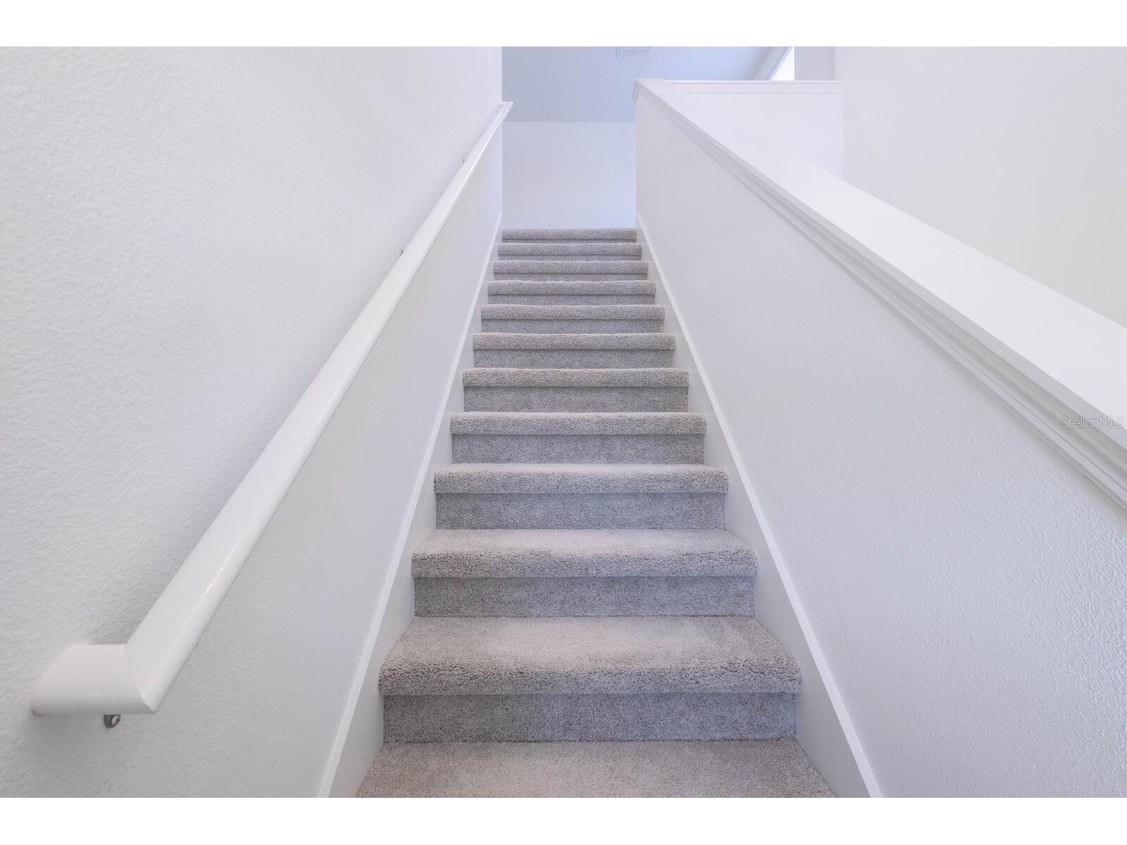 17534 Shirewood Way Land O Lakes FL 34638 TB8524312 image14