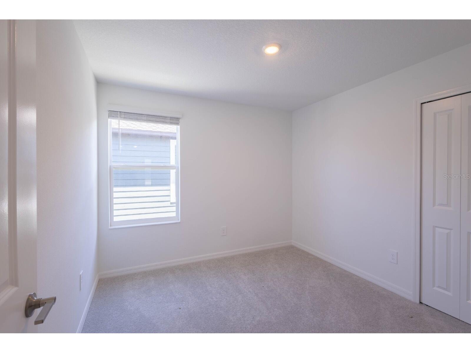 17534 Shirewood Way Land O Lakes FL 34638 TB8524312 image22