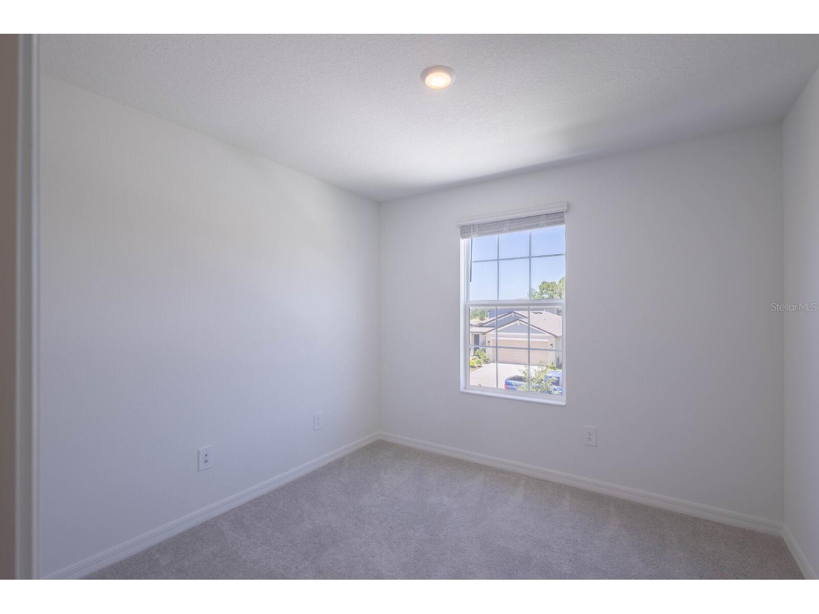 17534 Shirewood Way Land O Lakes FL 34638 TB8524312 image28