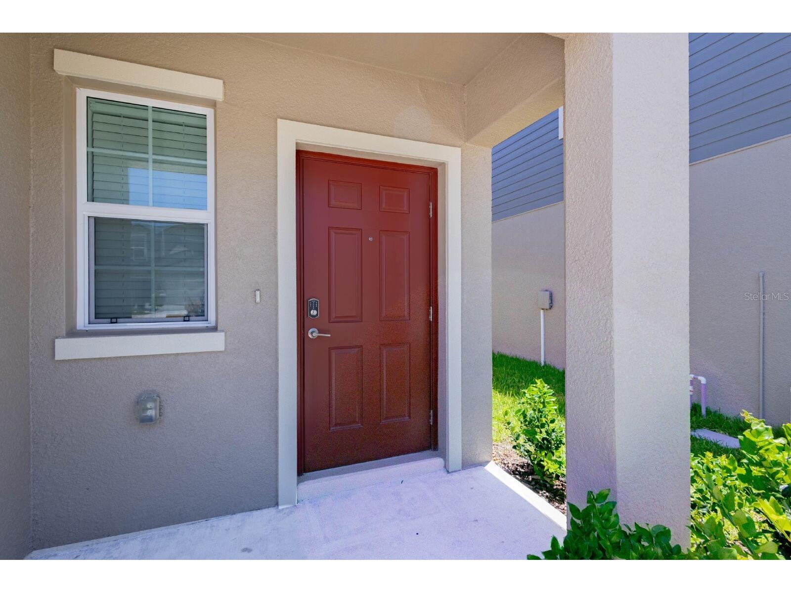 17534 Shirewood Way Land O Lakes FL 34638 TB8524312 image34