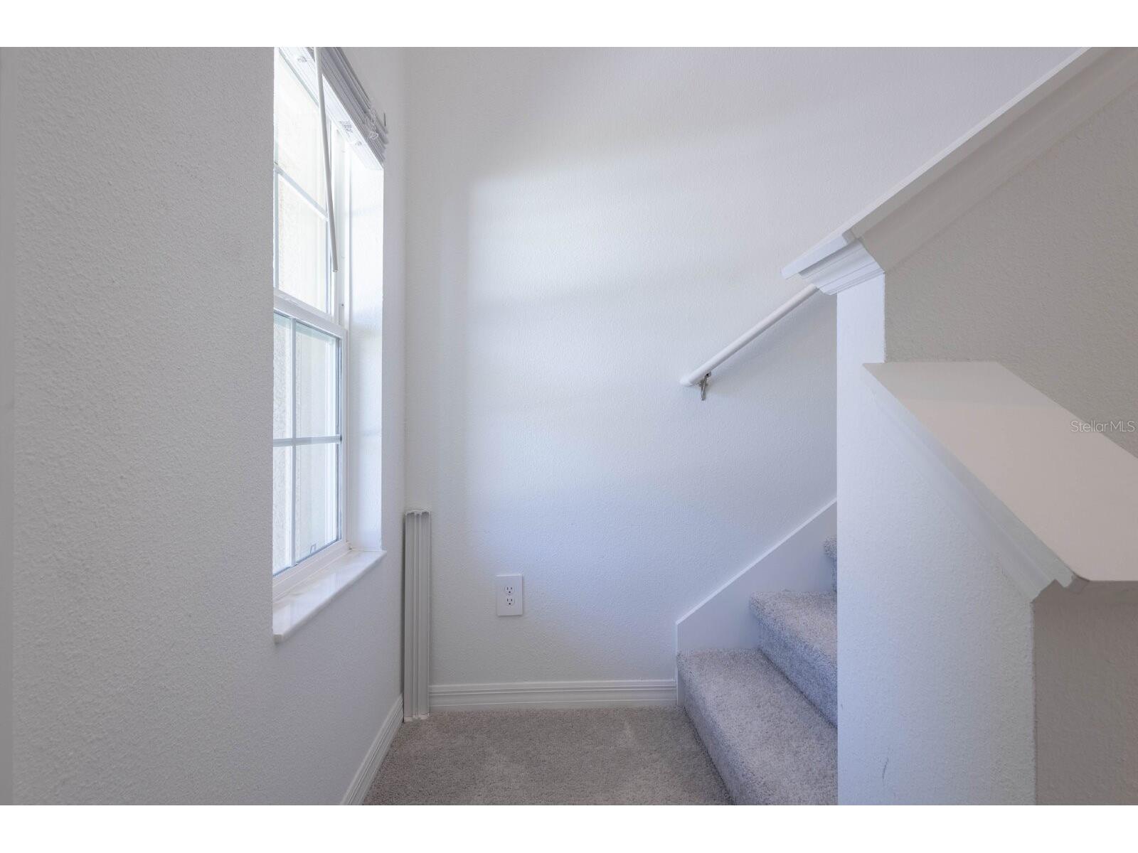 17534 Shirewood Way Land O Lakes FL 34638 TB8524312 image6