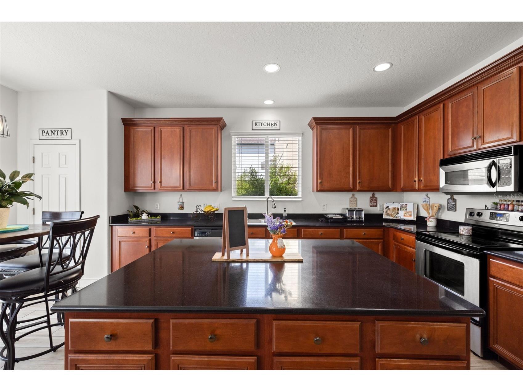 17535 Balmaha Drive Land O Lakes FL 34638 TB8517550 image16