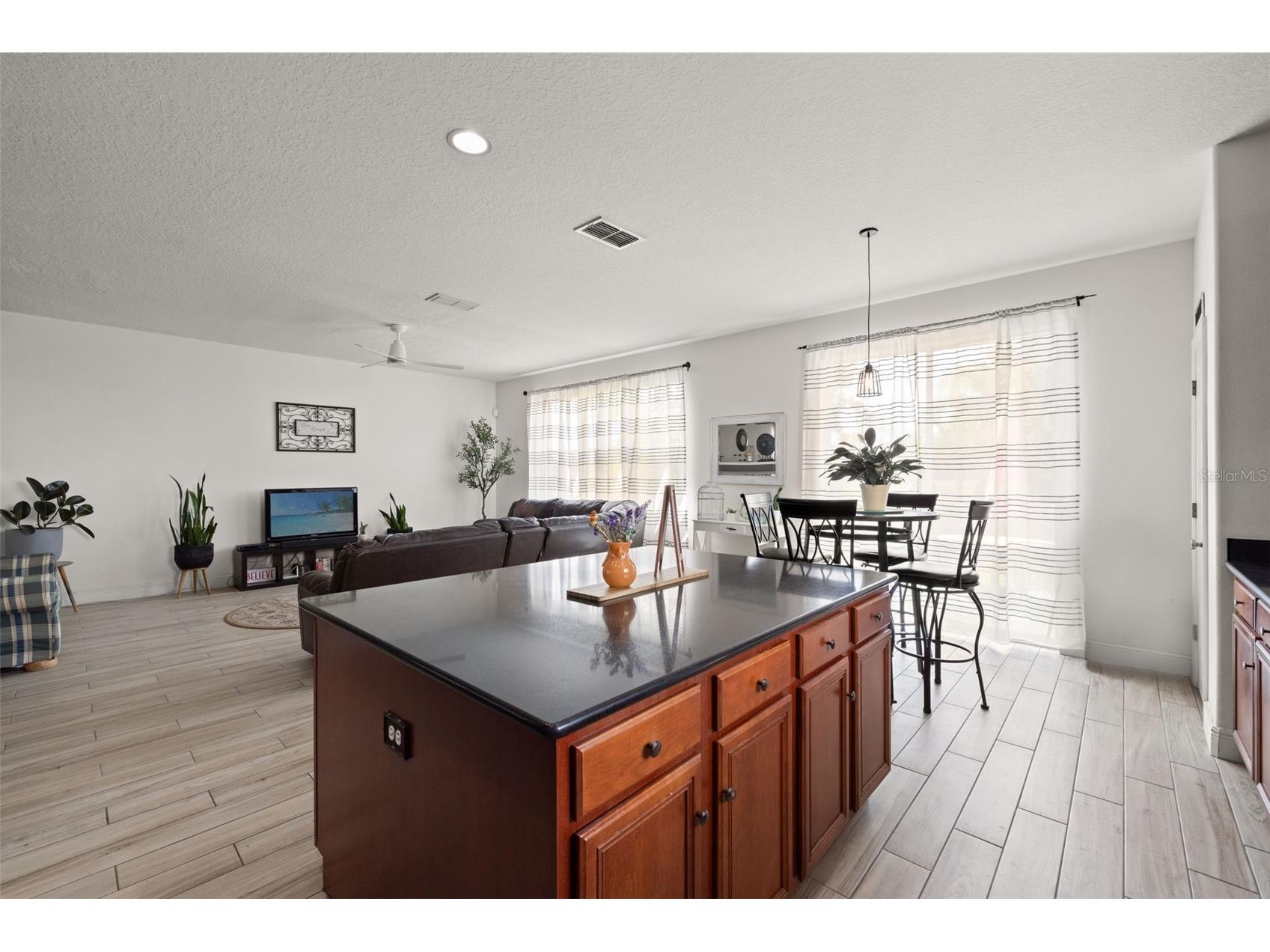 17535 Balmaha Drive Land O Lakes FL 34638 TB8517550 image17