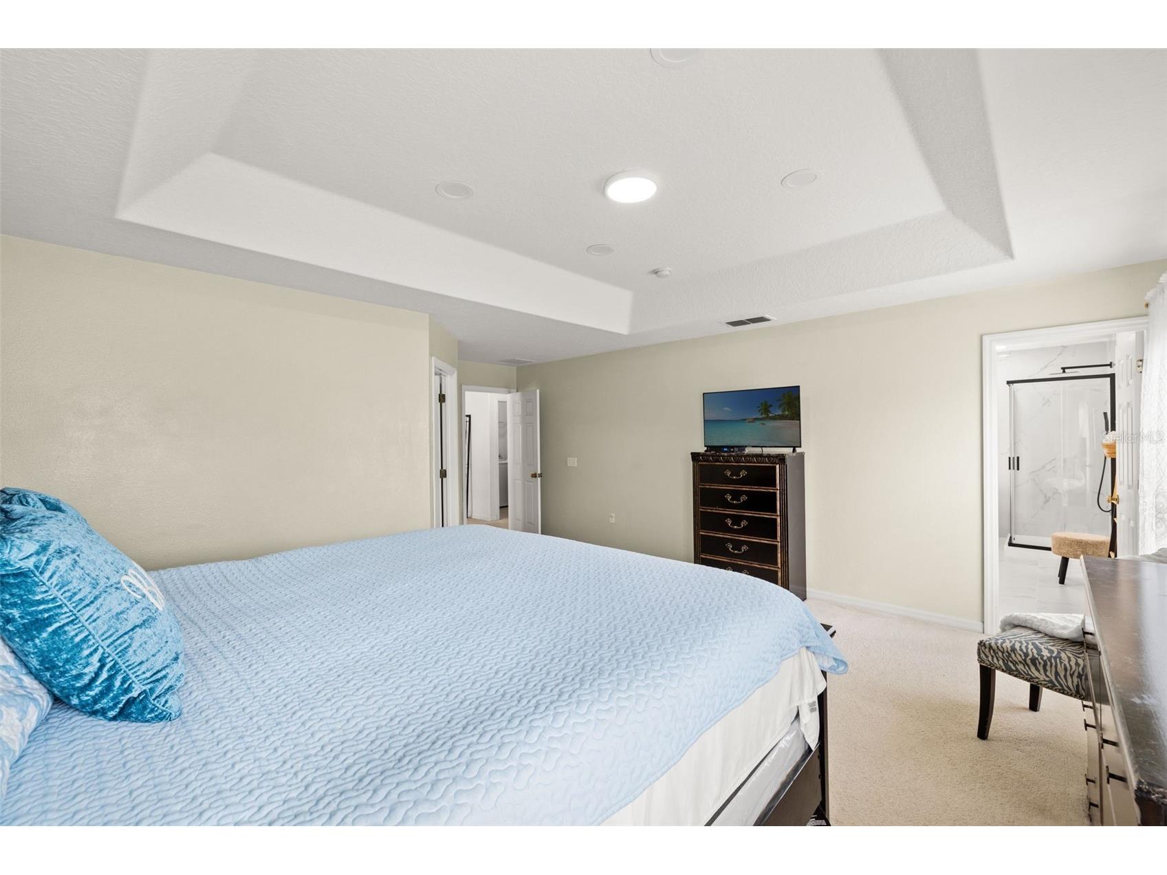 17535 Balmaha Drive Land O Lakes FL 34638 TB8517550 image25