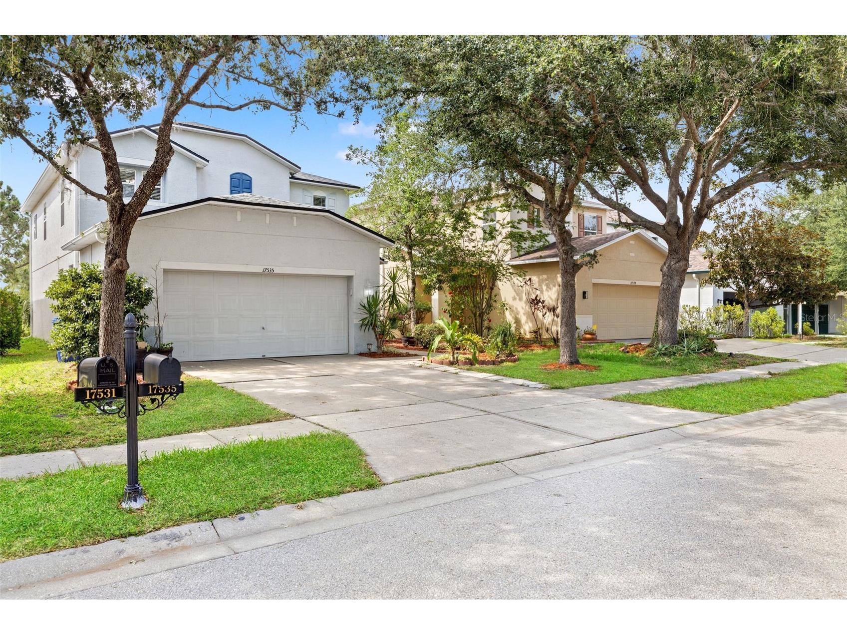 17535 Balmaha Drive Land O Lakes FL 34638 TB8517550 image3