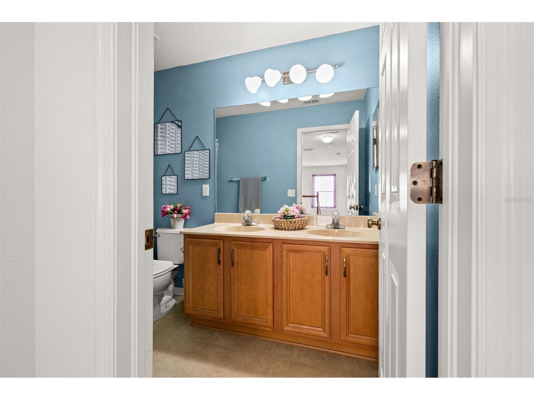17535 Balmaha Drive Land O Lakes FL 34638 TB8517550 image32