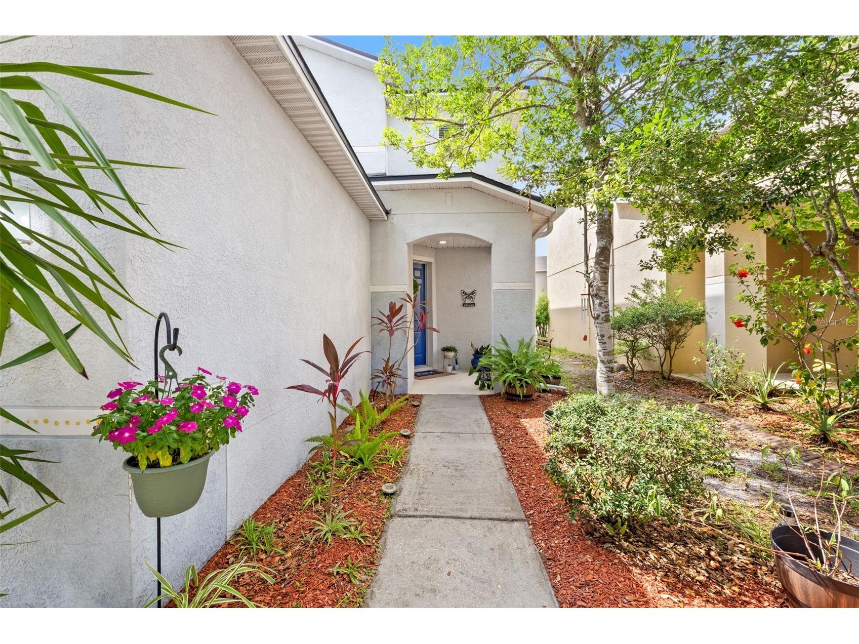 17535 Balmaha Drive Land O Lakes FL 34638 TB8517550 image5
