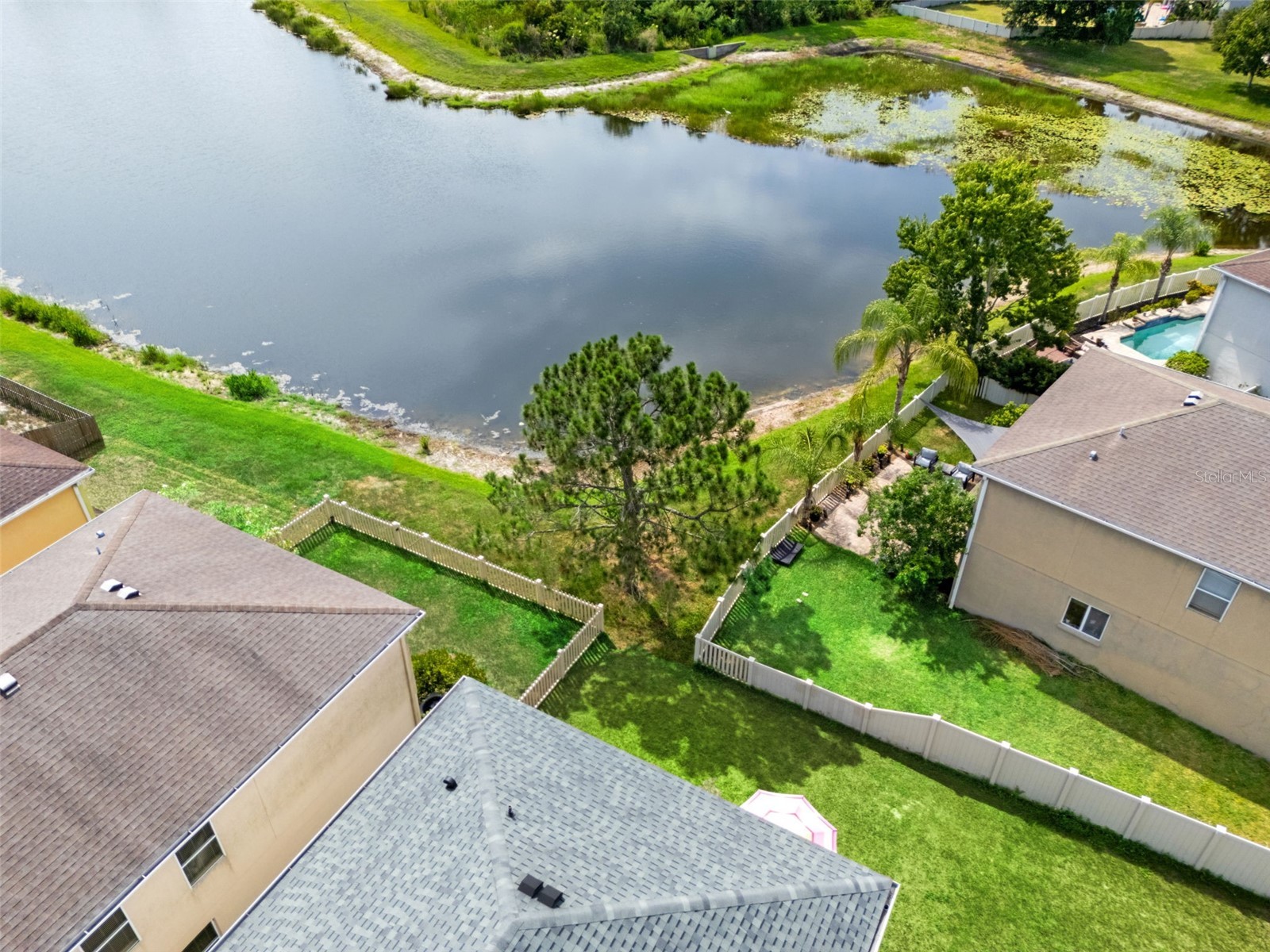 17535 Balmaha Drive Land O Lakes FL 34638 TB8517550 image59
