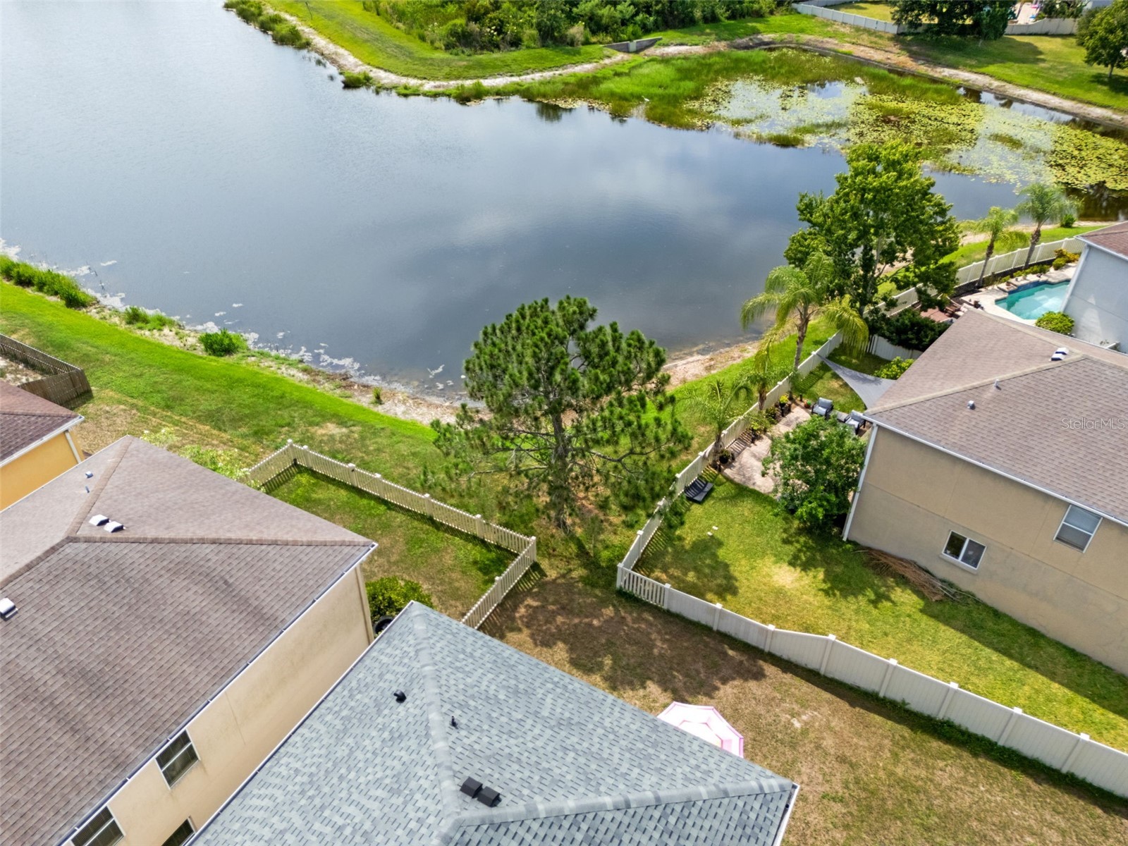 17535 Balmaha Drive Land O Lakes FL 34638 TB8517550 image60