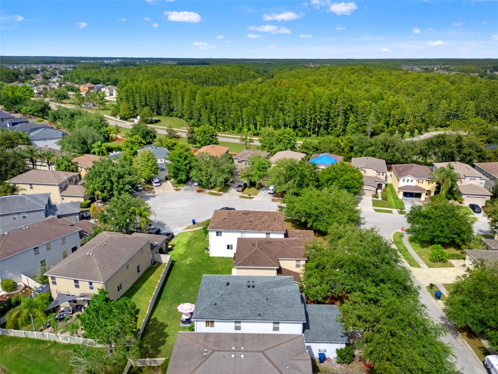 17535 Balmaha Drive Land O Lakes FL 34638 TB8517550 image61
