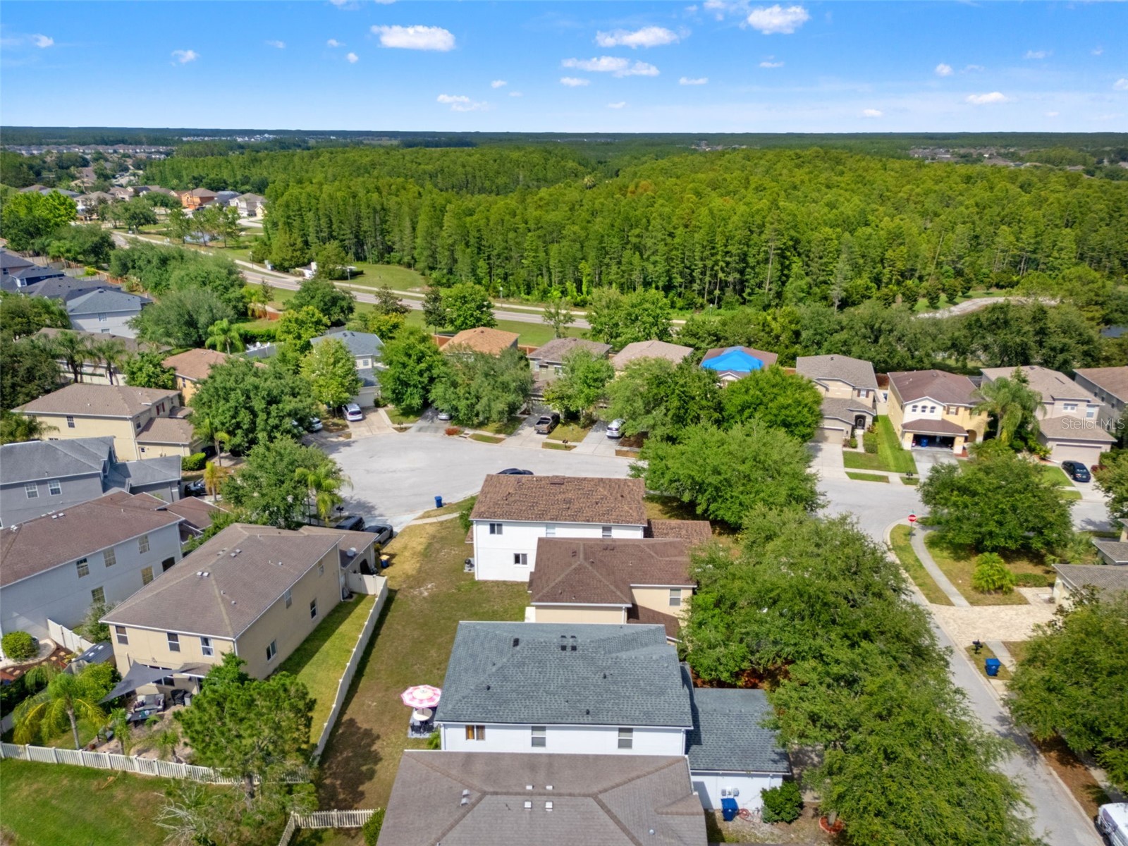 17535 Balmaha Drive Land O Lakes FL 34638 TB8517550 image62