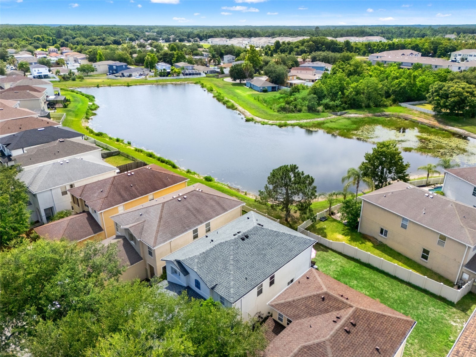 17535 Balmaha Drive Land O Lakes FL 34638 TB8517550 image67