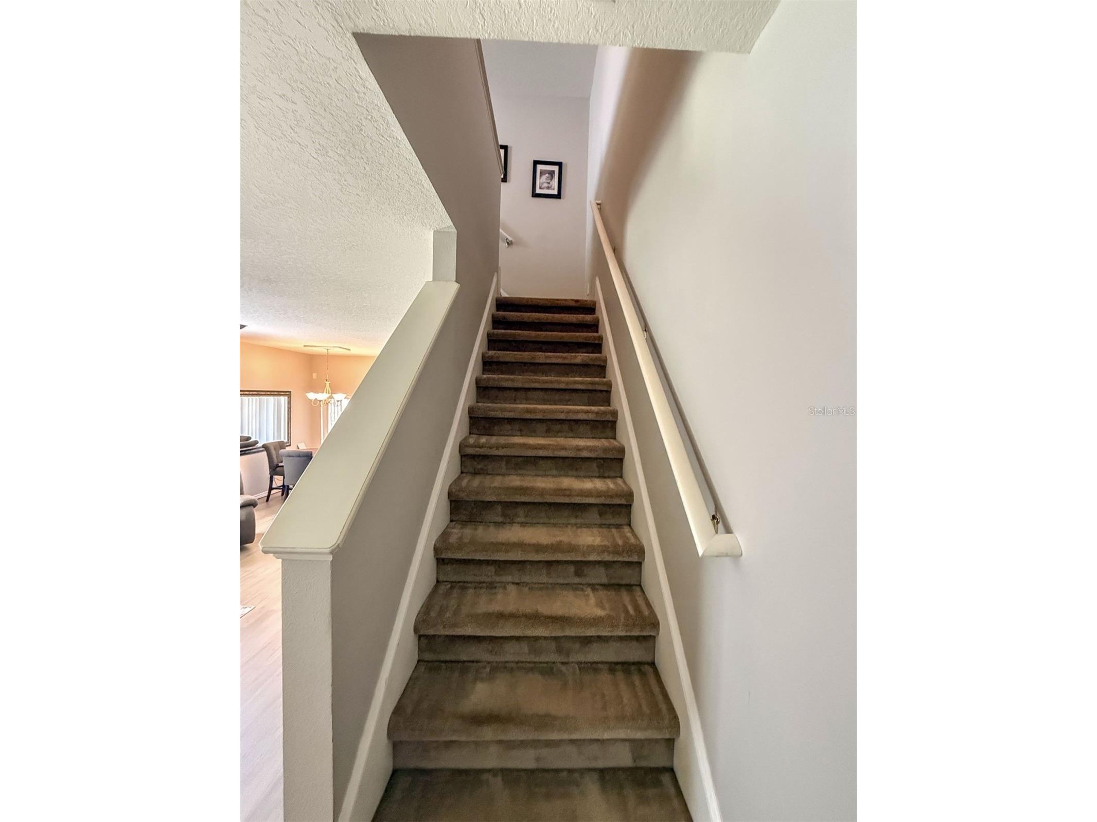 17535 Stinchar Drive Land O Lakes FL 34638 W7885580 image10