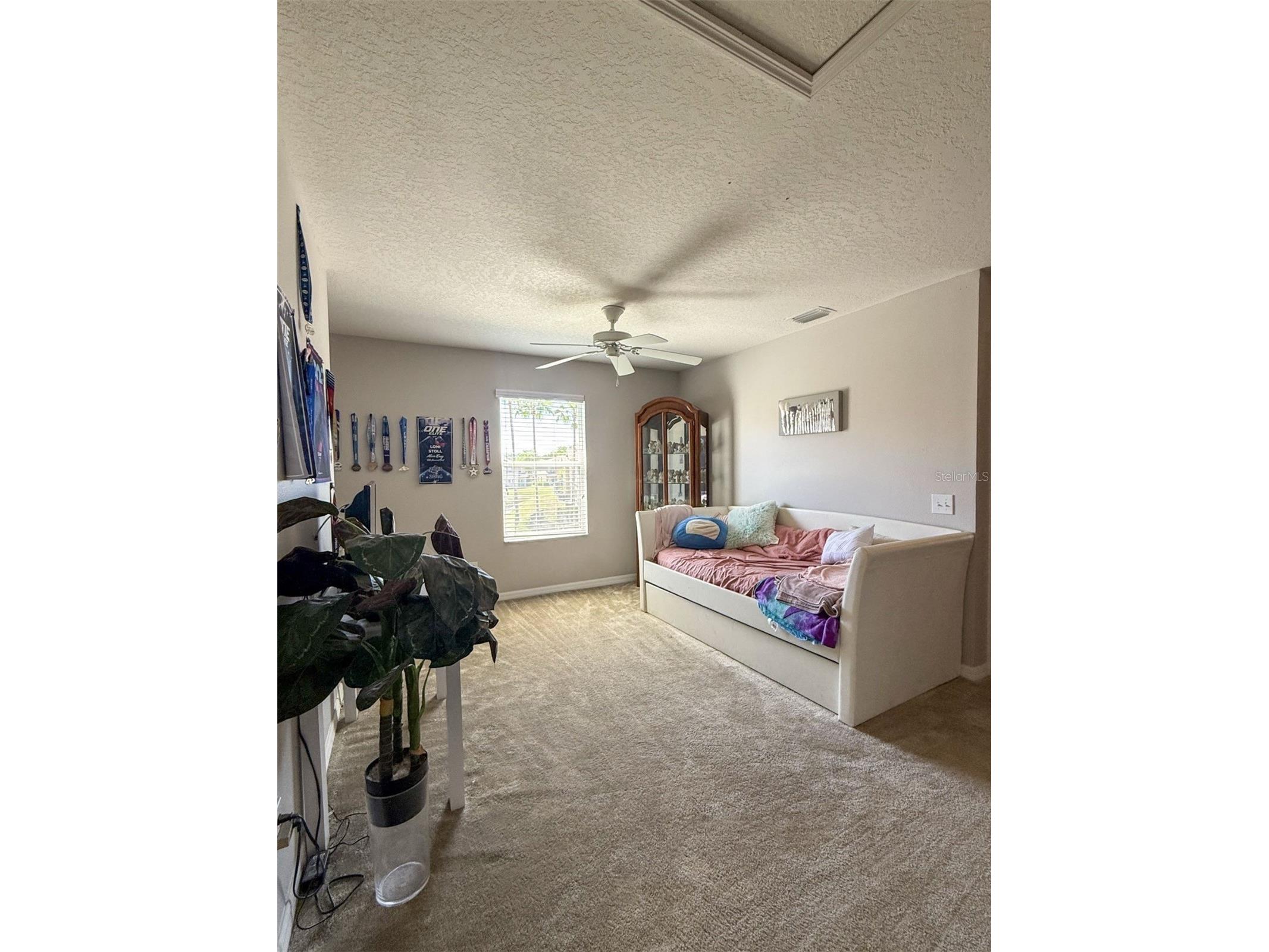 17535 Stinchar Drive Land O Lakes FL 34638 W7885580 image15