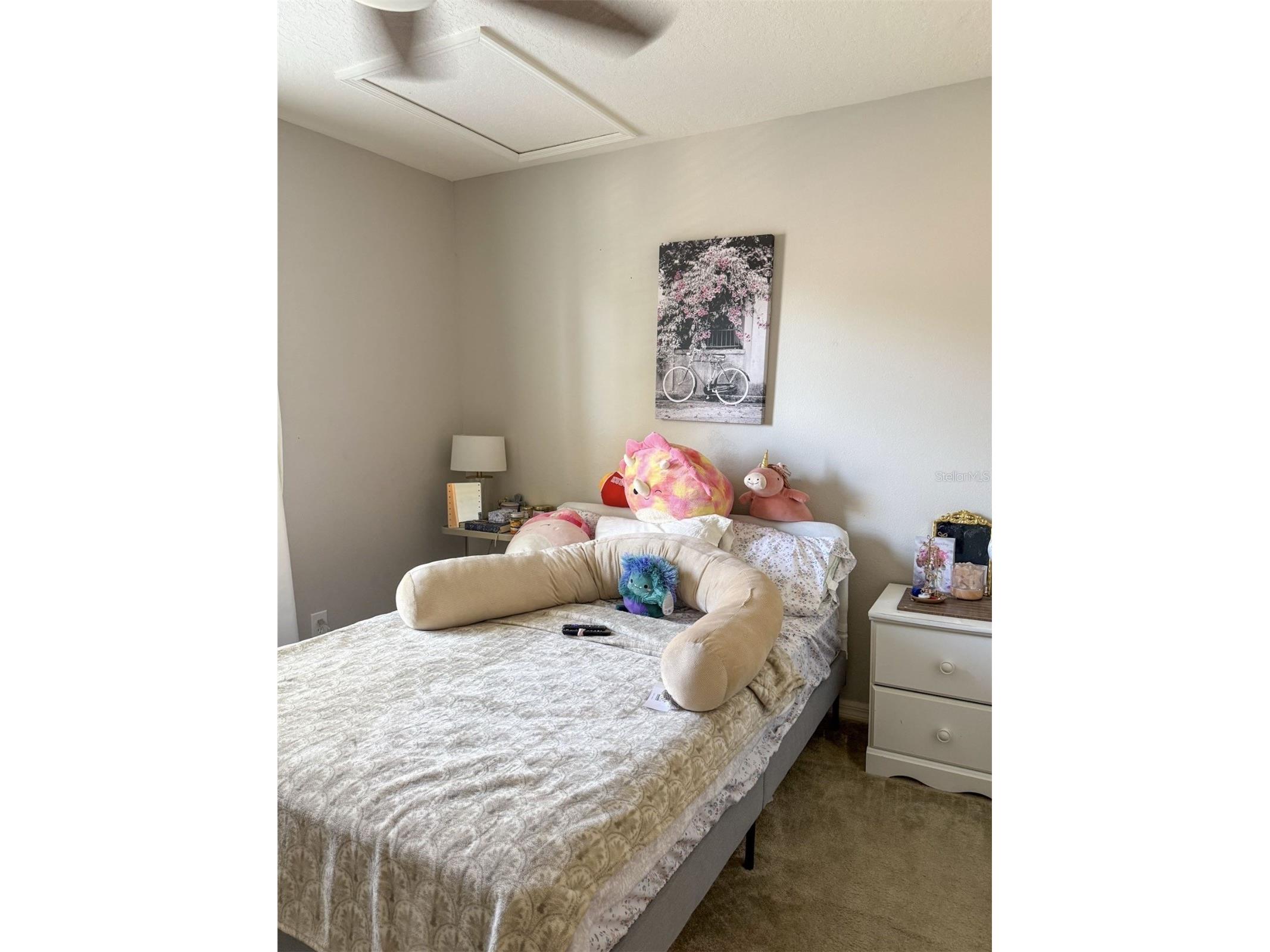 17535 Stinchar Drive Land O Lakes FL 34638 W7885580 image17