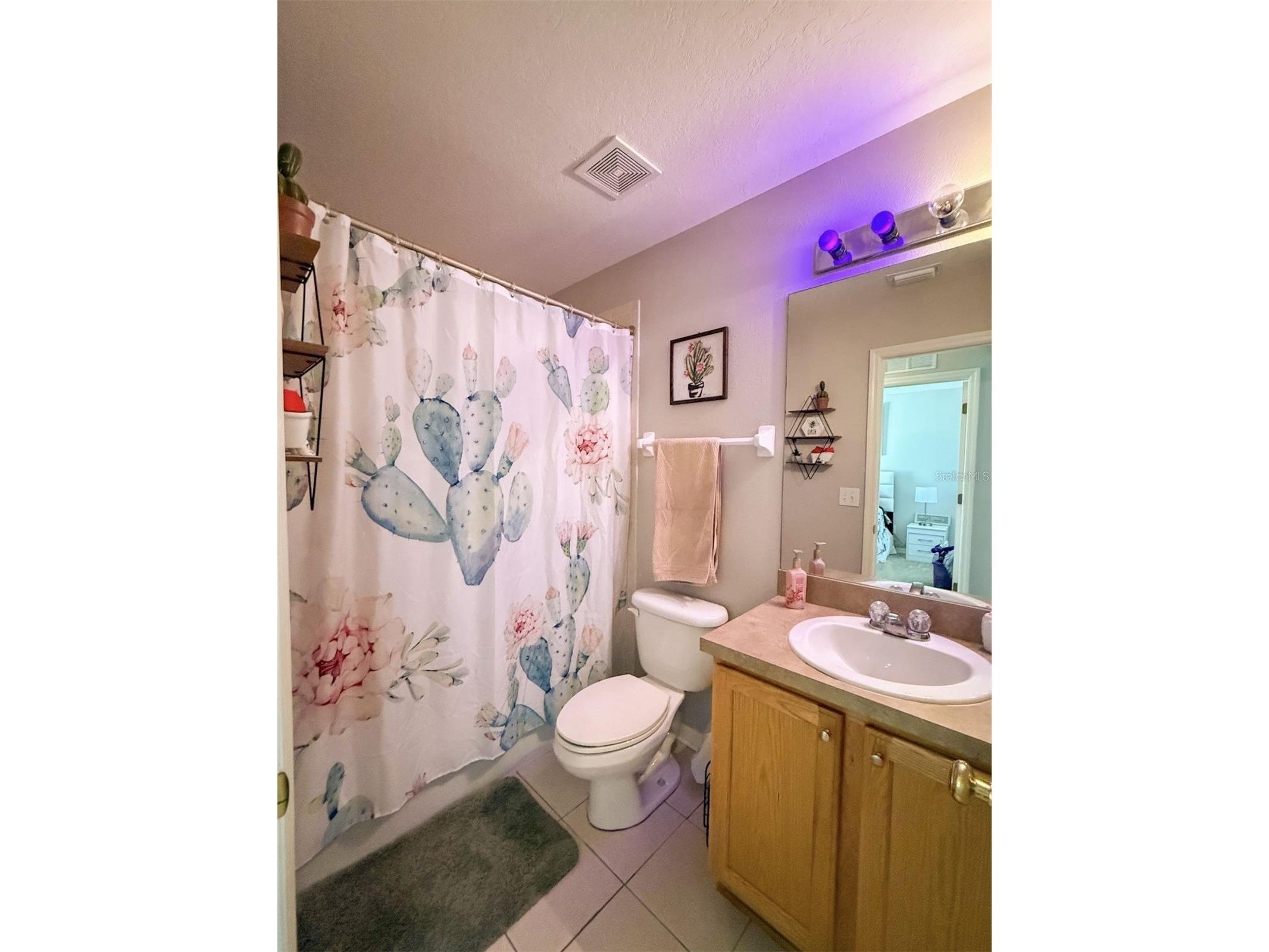 17535 Stinchar Drive Land O Lakes FL 34638 W7885580 image21
