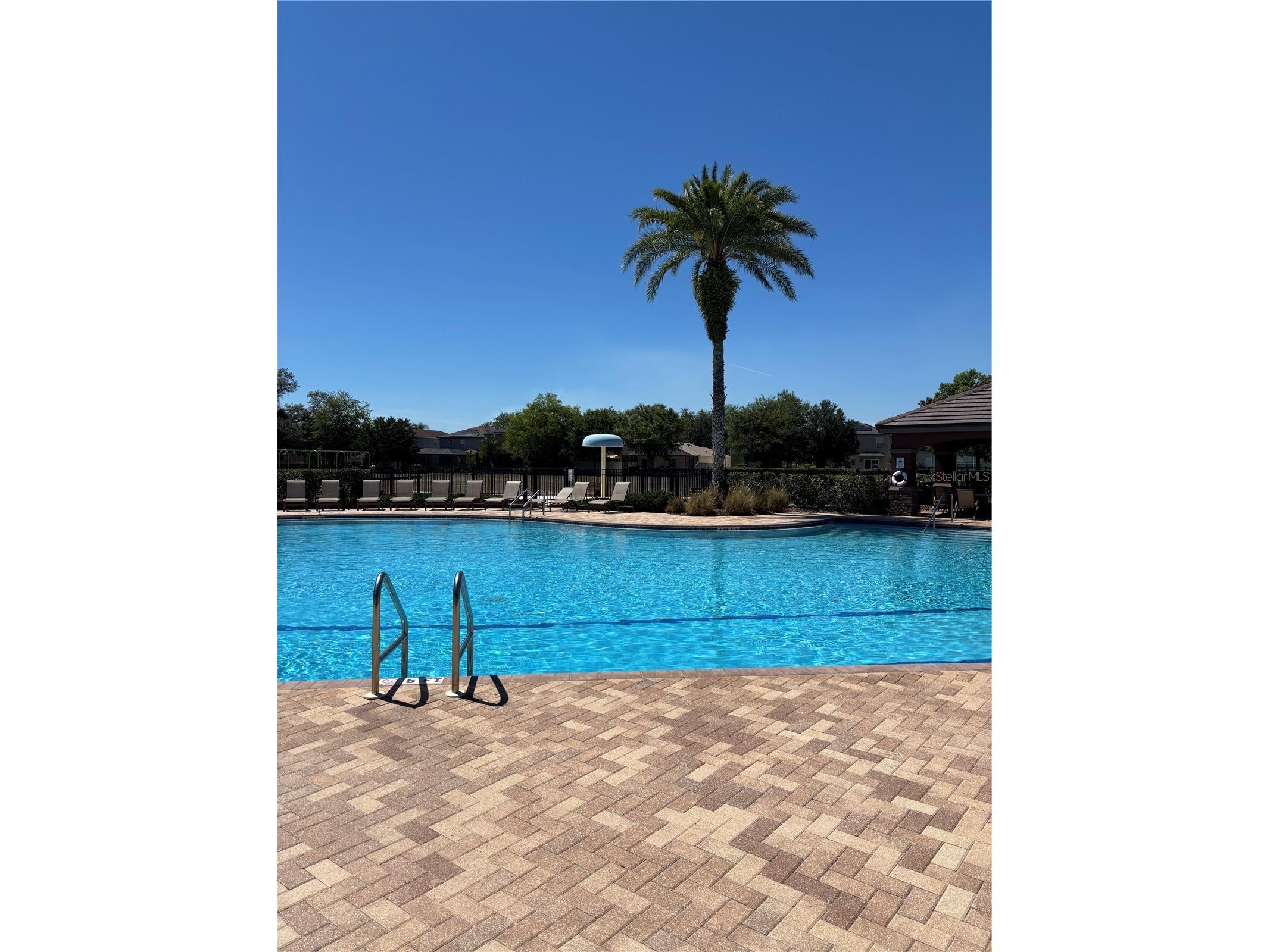 17535 Stinchar Drive Land O Lakes FL 34638 W7885580 image26