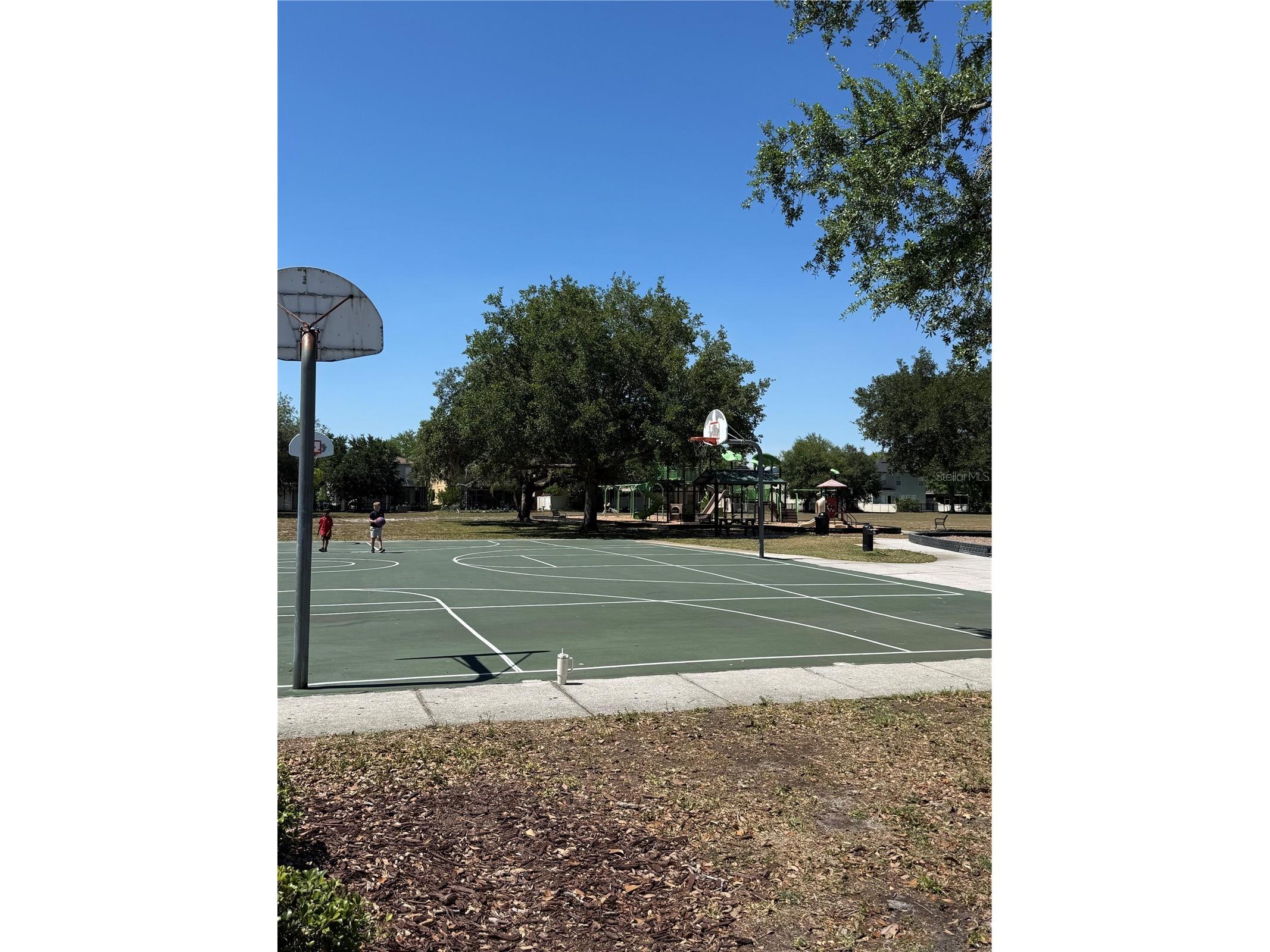 17535 Stinchar Drive Land O Lakes FL 34638 W7885580 image28