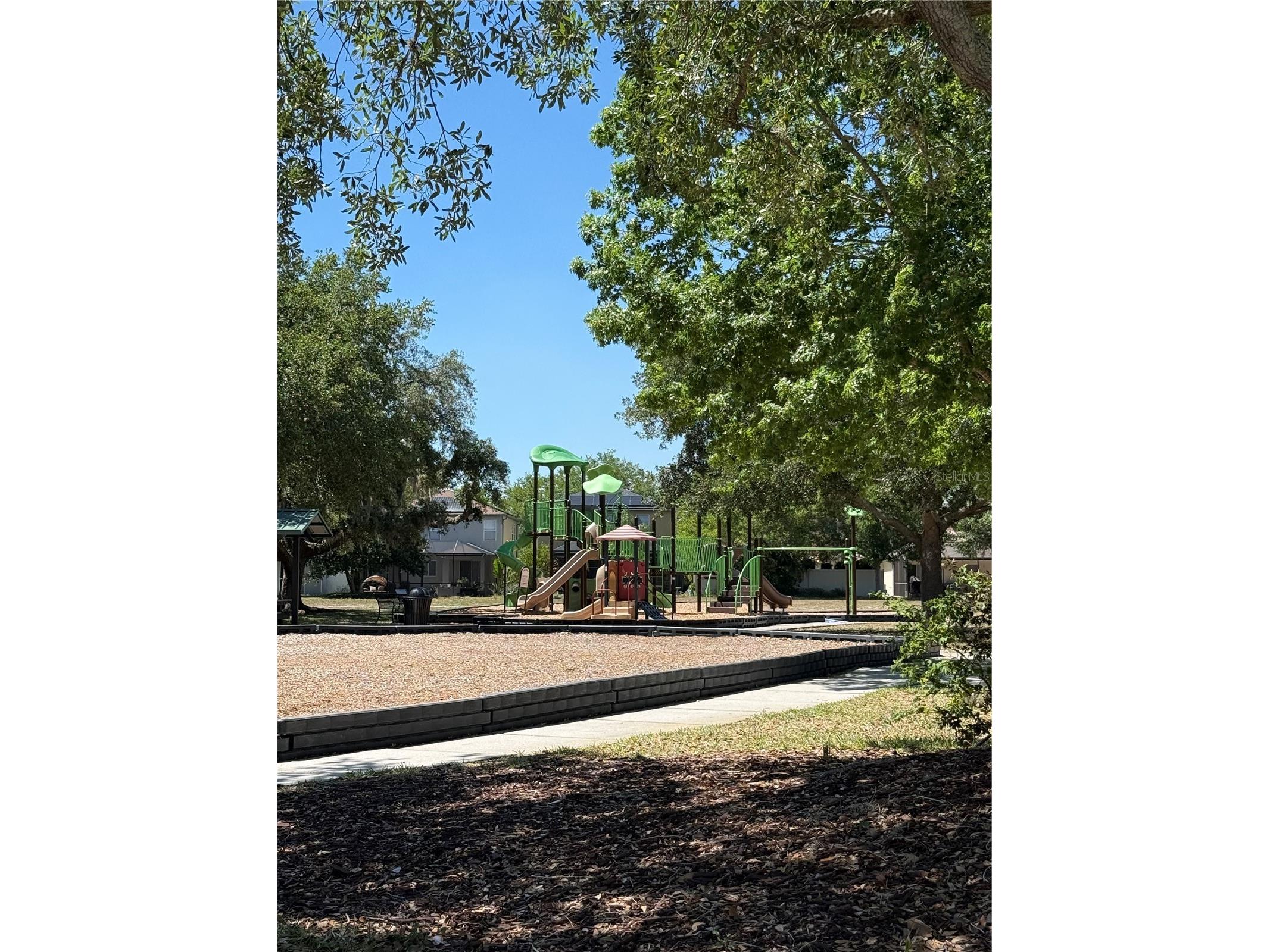 17535 Stinchar Drive Land O Lakes FL 34638 W7885580 image29