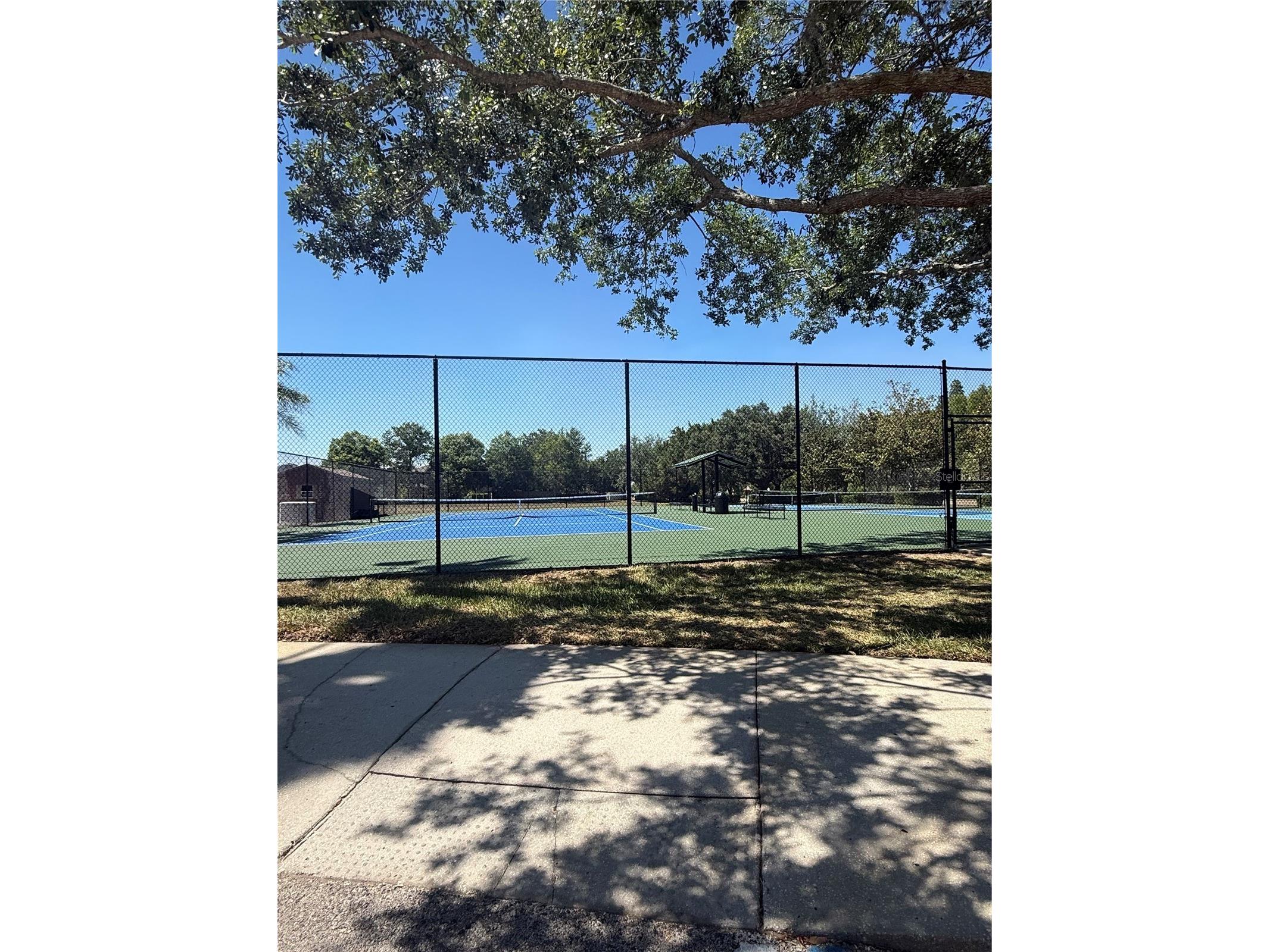 17535 Stinchar Drive Land O Lakes FL 34638 W7885580 image31