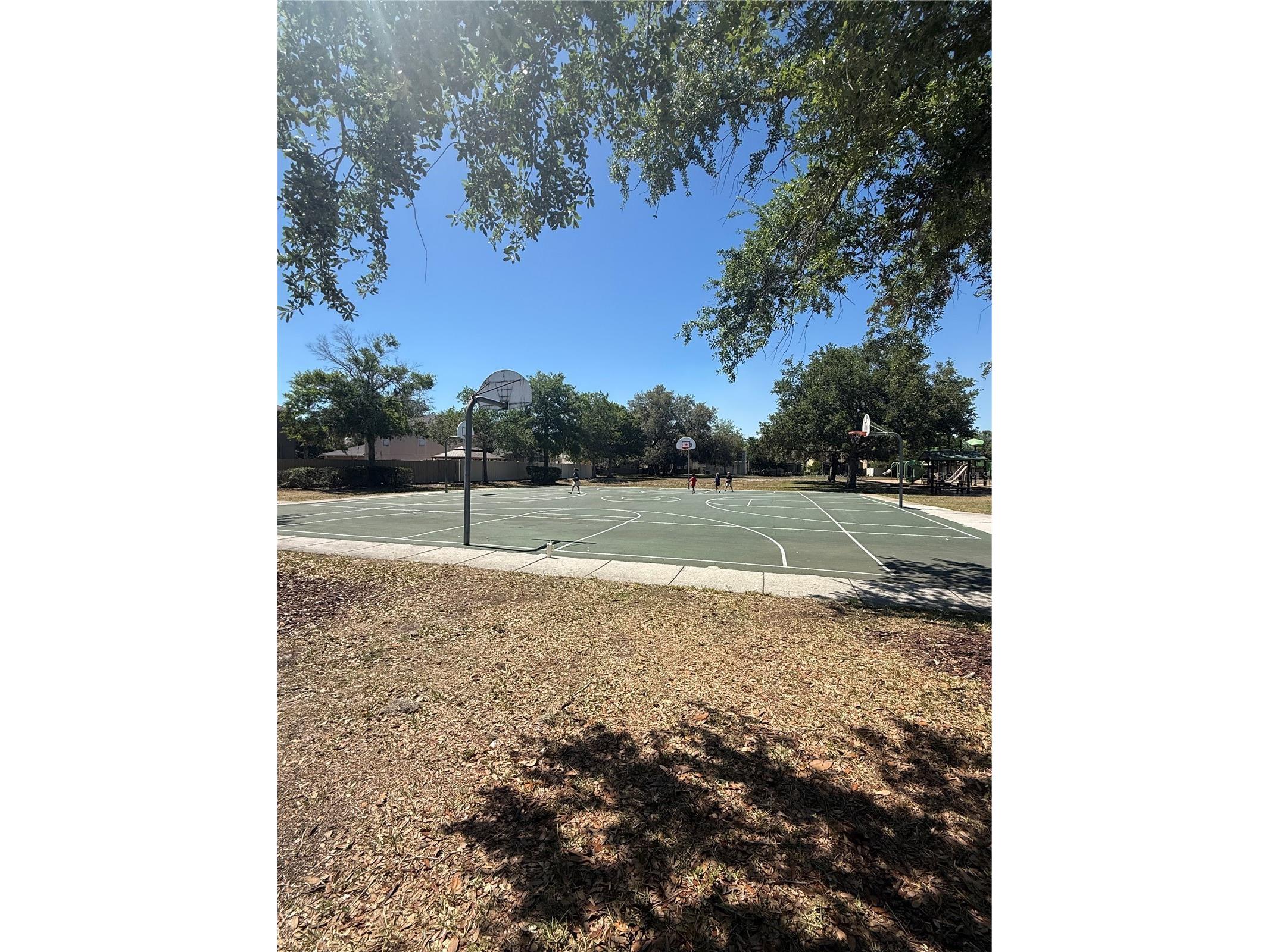17535 Stinchar Drive Land O Lakes FL 34638 W7885580 image32