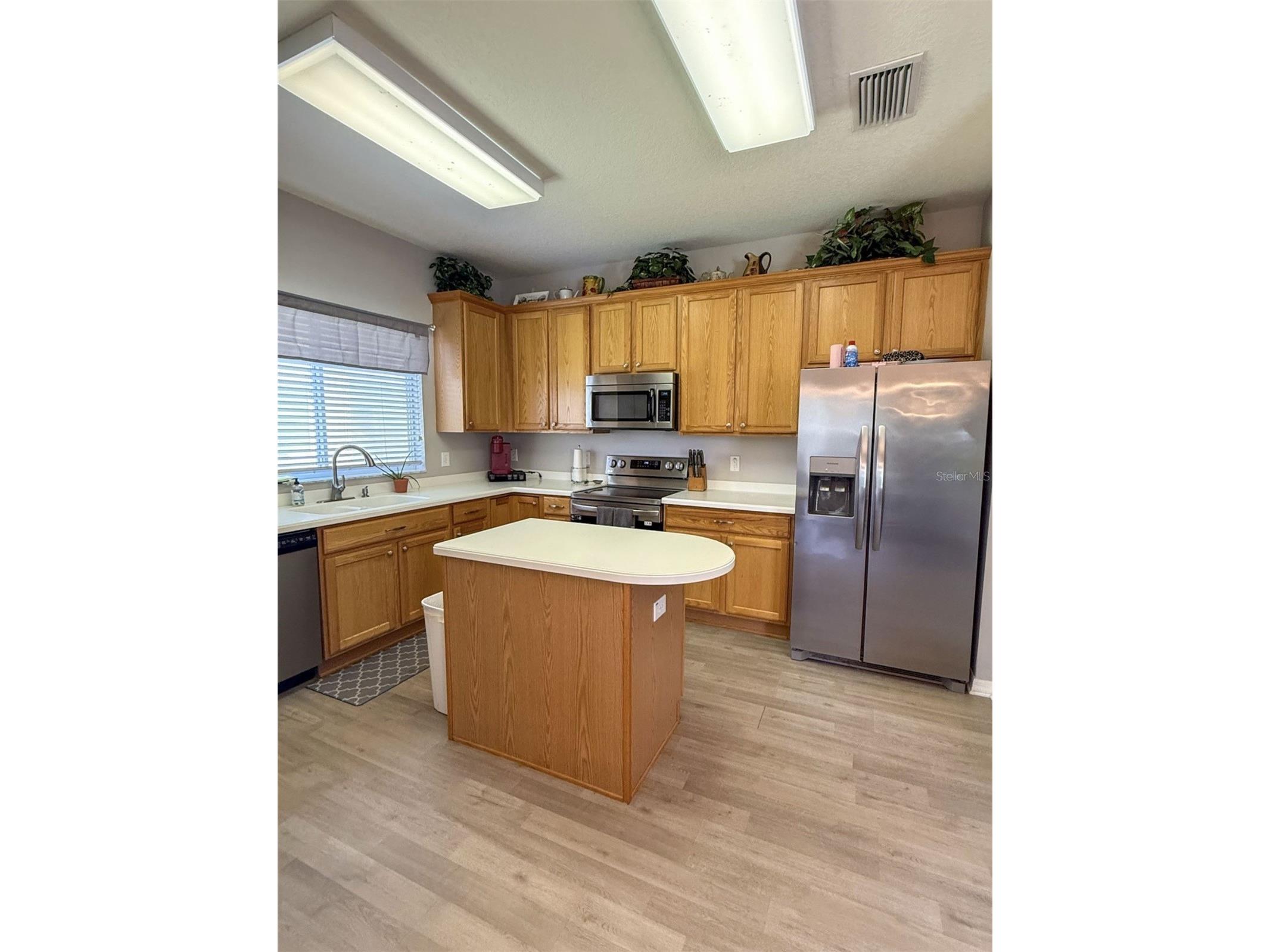 17535 Stinchar Drive Land O Lakes FL 34638 W7885580 image7