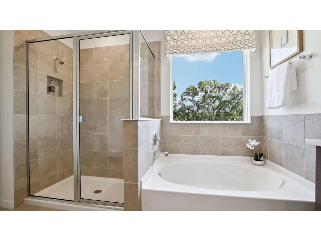 17536 Acorn Drop Road Land O Lakes FL 34638 TB8468055 image21